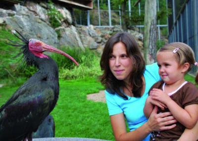 Thayaland-Waidhofen an der Thaya-4