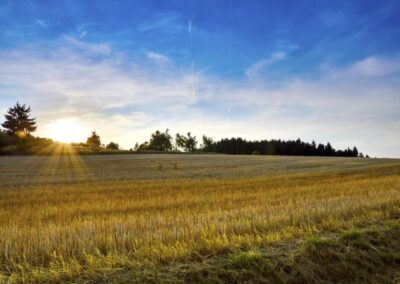 Thayaland-Dietmanns-5