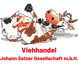 LKW-Fahrer*in für Tiertransporte
